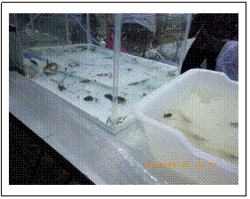 テキスト ボックス: